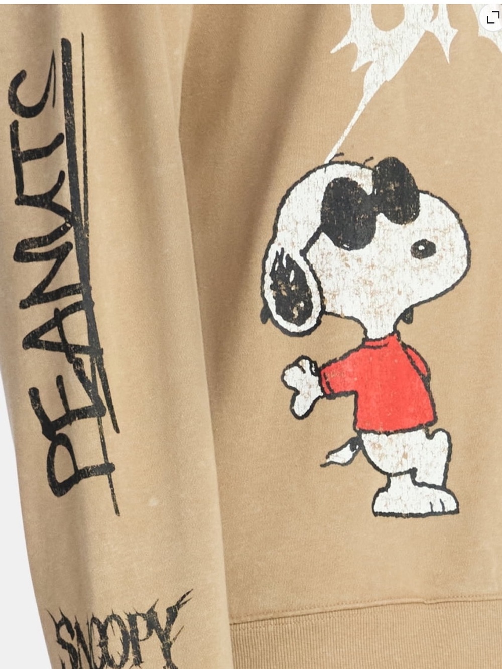 Peanuts Snoopy Men's Graphic Hoodie - Picture 5 of 6